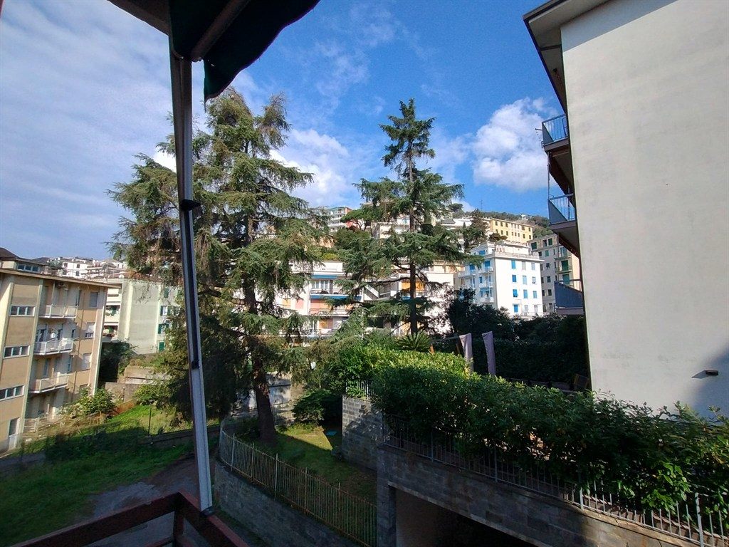 Zona parco con posto auto.